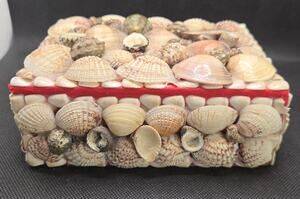 Vintage Handmade Handcrafted Sea Shell Jewelry Box Trinket Box 6 X 4.5 Inch